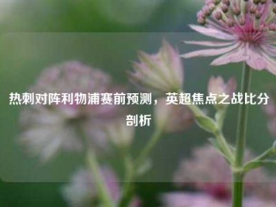 热刺对阵利物浦赛前预测，英超焦点之战比分剖析