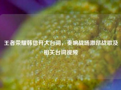 王者荣耀韩信开大台词，奏响战场激昂战歌及相关台词视频