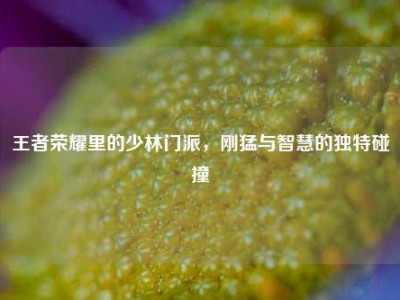 王者荣耀里的少林门派，刚猛与智慧的独特碰撞