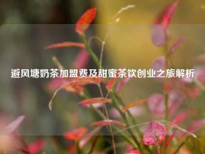 避风塘奶茶加盟费及甜蜜茶饮创业之旅解析