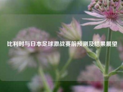 比利时与日本足球激战赛前预测及结果展望