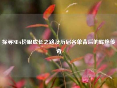 探寻NBA榜眼成长之路及历届名单背后的辉煌传奇