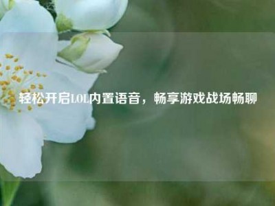 轻松开启LOL内置语音，畅享游戏战场畅聊
