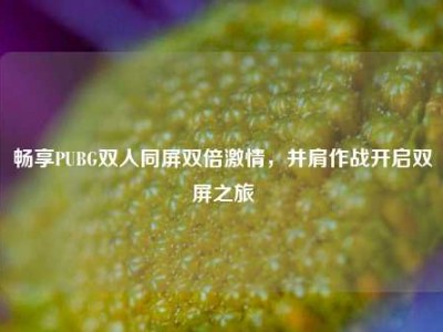 畅享PUBG双人同屏双倍     ，并肩作战开启双屏之旅