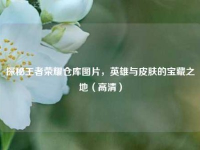探秘王者荣耀仓库图片，英雄与皮肤的宝藏之地（高清）