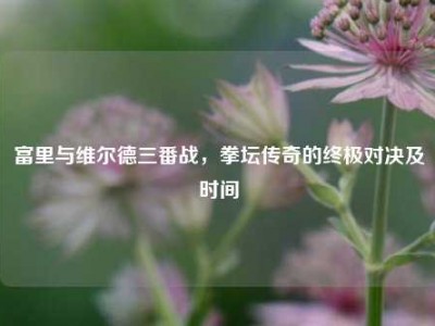 富里与维尔德三番战，拳坛传奇的终极对决及时间