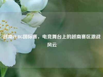 越南PUBG国际赛，电竞舞台上的越南赛区激战风云