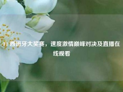 F1 西班牙大奖赛，速度     巅峰对决及直播在线观看
