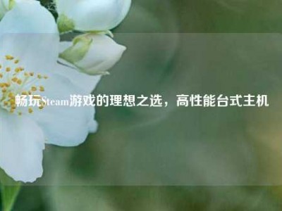 畅玩Steam游戏的理想之选，高性能台式主机