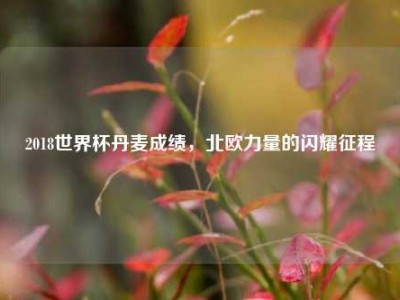 2018世界杯丹麦成绩，北欧力量的闪耀征程