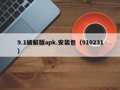 9.1破解版apk.安装包（910231）