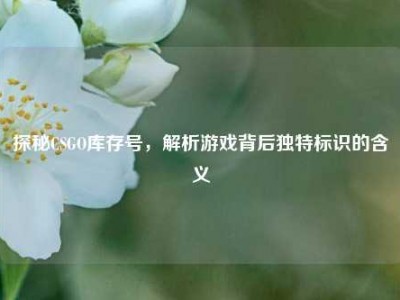 探秘CSGO库存号，解析游戏背后独特标识的含义