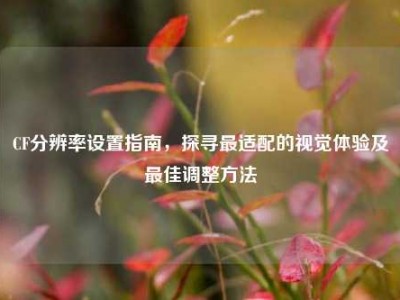 CF分辨率设置指南，探寻最适配的视觉体验及更佳调整     