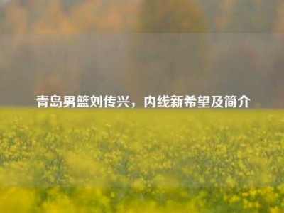 青岛男篮刘传兴，内线新希望及简介
