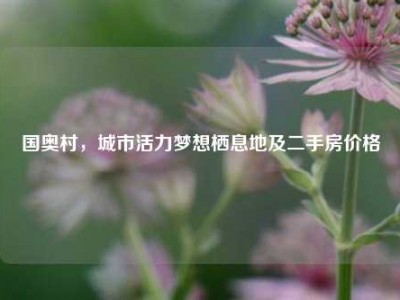 国奥村，城市活力梦想栖息地及二手房价格
