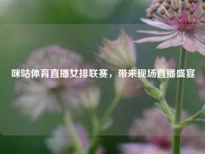咪咕体育直播女排联赛，带来现场直播盛宴