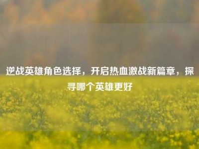 逆战英雄角色选择，开启热血激战新篇章，探寻哪个英雄更好