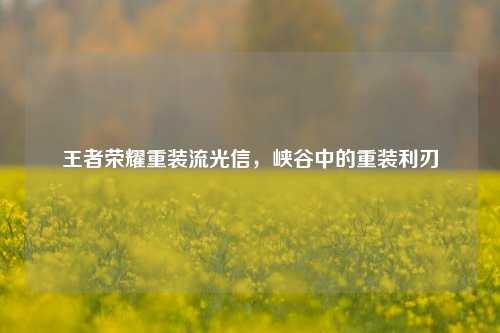 王者荣耀重装流光信,峡谷中的重装利刃