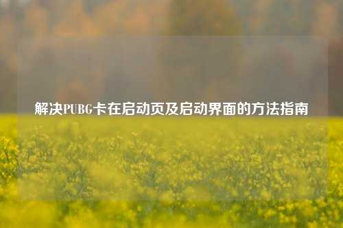 解决PUBG卡在启动页及启动界面的 指南
