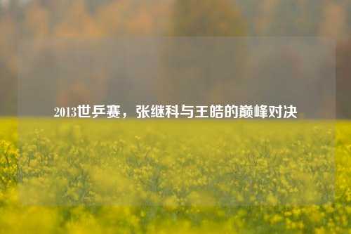 2013世乒赛,张继科与王皓的巅峰对决