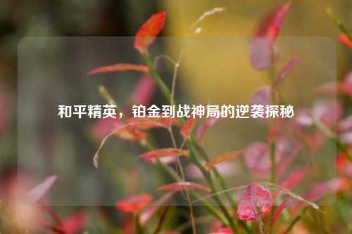 和平精英,铂金到战神局的逆袭探秘