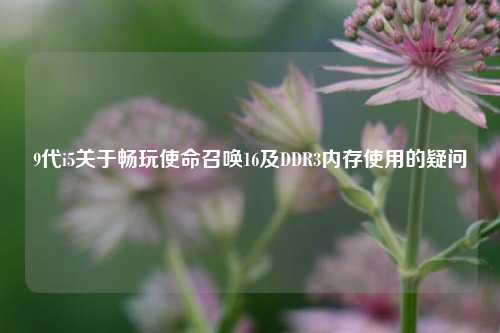 9代i5关于畅玩使命召唤16及DDR3内存使用的疑问