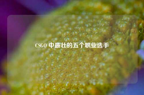 CSGO 中最壮的五个职业选手