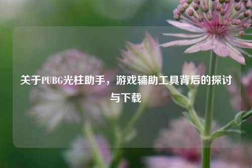 关于PUBG光柱助手,游戏辅助工具背后的探讨与下载