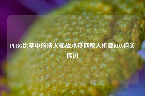PUBG比赛中的搭人梯战术及匹配人机算KDA相关探讨