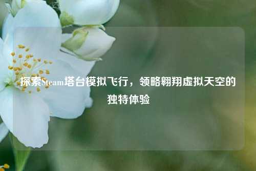 探索Steam塔台模拟飞行,领略翱翔虚拟天空的独特体验