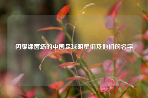 闪耀绿茵场的中国足球明星们及他们的名字