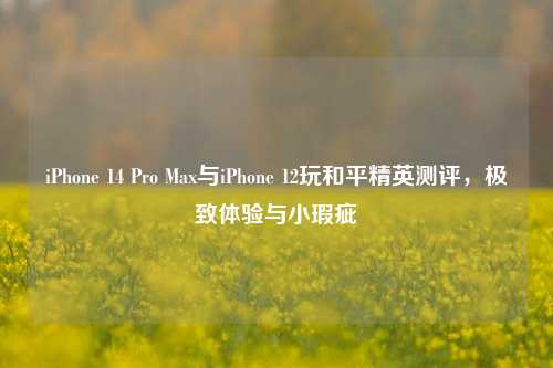 iPhone 14 Pro Max与iPhone 12玩和平精英测评,极致体验与小瑕疵