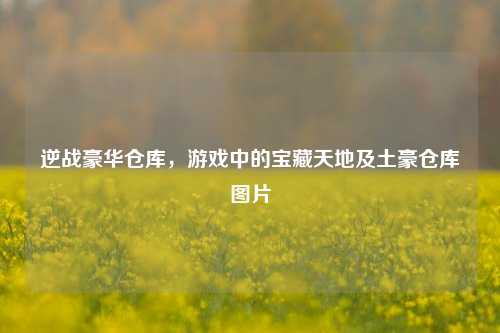 逆战豪华仓库，游戏中的宝藏天地及土豪仓库图片