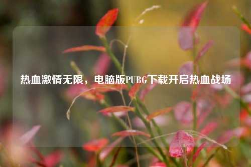 热血激情无限，电脑版PUBG下载开启热血战场
