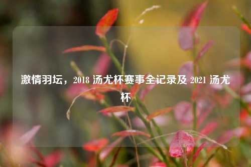激情羽坛，2018 汤尤杯赛事全记录及 2021 汤尤杯
