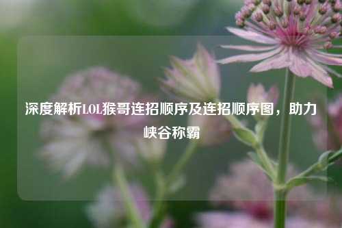 深度解析LOL猴哥连招顺序及连招顺序图，助力峡谷称霸