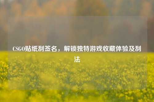 CSGO贴纸刮签名，解锁独特游戏收藏体验及刮法