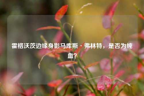 霍格沃茨边缘身影马库斯·弗林特，是否为纯血？