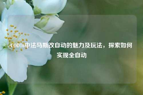 COD16中法马斯改自动的魅力及玩法，探索如何实现全自动