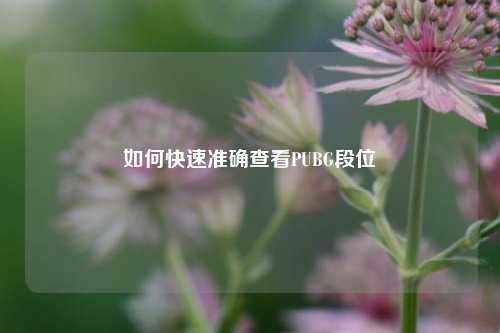 如何快速准确查看PUBG段位