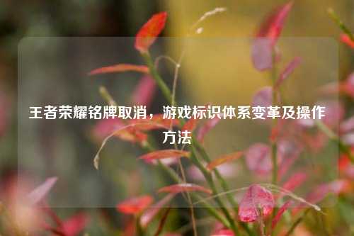 王者荣耀铭牌取消，游戏标识体系变革及操作方法