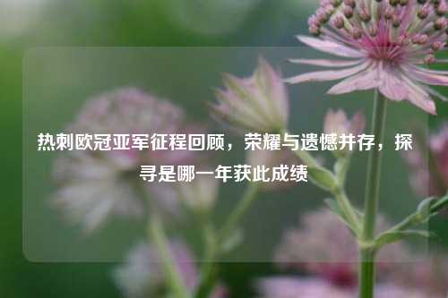 热刺欧冠亚军征程回顾，荣耀与遗憾并存，探寻是哪一年获此成绩