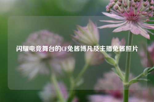闪耀电竞舞台的CF兔酱博凡及主播兔酱照片