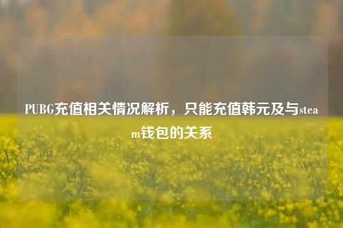 PUBG充值相关情况解析，只能充值韩元及与steam钱包的关系