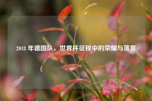 2018 年德国队，世界杯征程中的荣耀与落寞