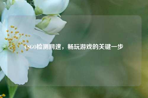 CSGO检测网速，畅玩游戏的关键一步