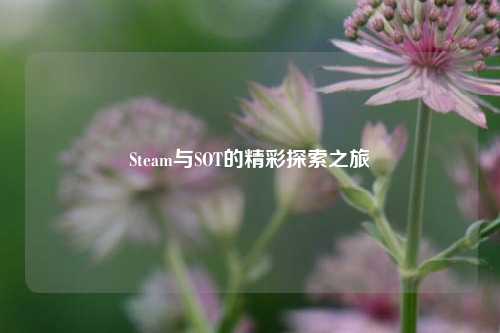 Steam与SOT的精彩探索之旅
