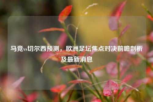 马竞vs切尔西预测，欧洲足坛焦点对决前瞻剖析及最新消息
