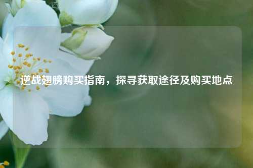 逆战翅膀购买指南，探寻获取途径及购买地点