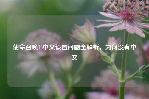 使命召唤16中文设置问题全解析，为何没有中文